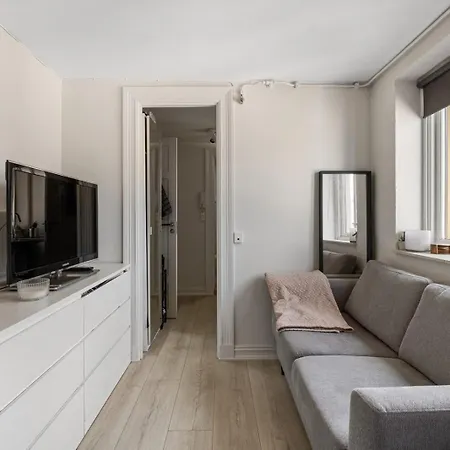 Penthouse With Roof Terrace By The Royal Park, Sauna, 3 Bath Apartment Oslo