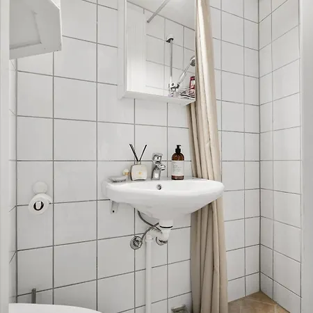 Penthouse With Roof Terrace By The Royal Park, Sauna, 3 Bath * Oslo