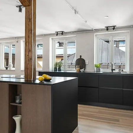 Penthouse With Roof Terrace By The Royal Park, Sauna, 3 Bath Oslo
